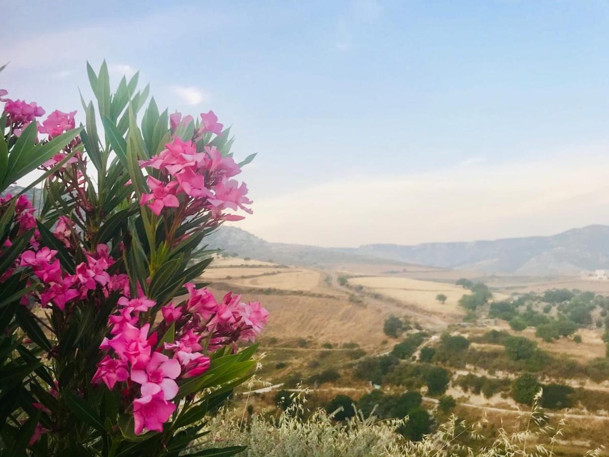 Panoramic Holidays เปเยีย ภายนอก รูปภาพ